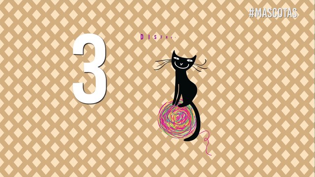 10 lecciones que debes aprender de tus mascotas