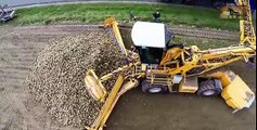 Aerials sugar beet harvest iتجميع الشمندر السكري