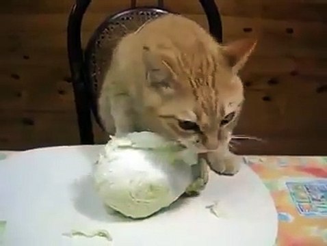 Если прошлый был баг и запоминал кэш, то этот норм. Не правда ли? :)