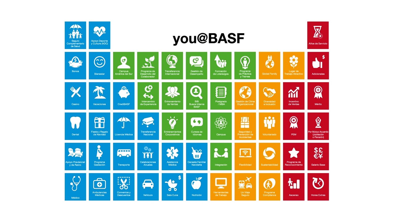 BASF  / MOTION GRAPHICS /INFOGRAFIA