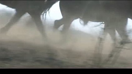 부산여자알바『찜』알바↔울산고액알바,알바,일산여자알바