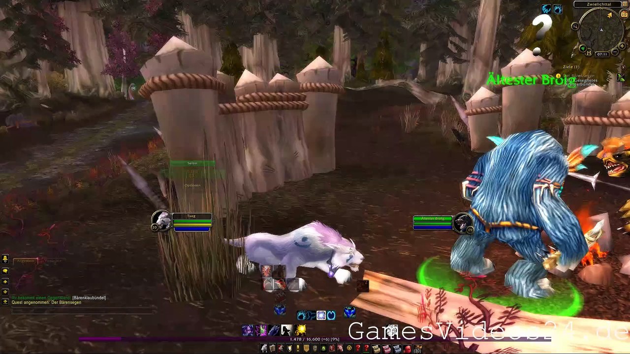 World of Warcraft Quest: Der Bärensegen (Allianz)