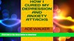 EBOOK ONLINE  How I Cured My Depression And Anxiety Attacks FULL ONLINE