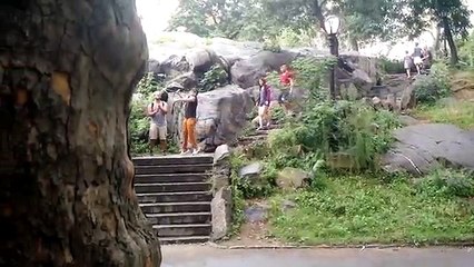 Couper les perches à selfie des touristes à New York