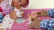 Bebe Nenuco Elsa y Bebe Peppa hacen popo-caca / Capítulo 76 de las Aventuras de Bebe Lola