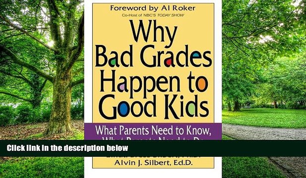 Big Deals Why Bad Grades Happen to Good Kids: What Parents Need to Know, What Parents Need to Do