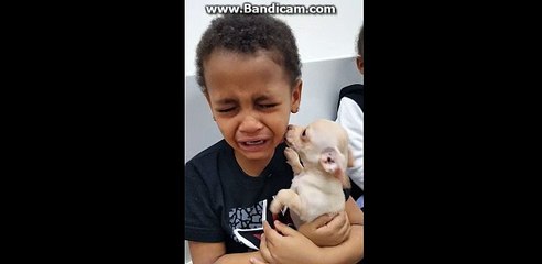 dječak i psić (sreća)