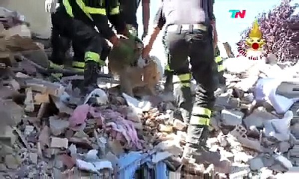 AMATRICE - Cane Salvato dopo 9 Giorni dalle Macerie dai Vigili del Fuoco