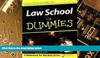 Big Deals  Law School For Dummies  Free Full Read Most Wanted