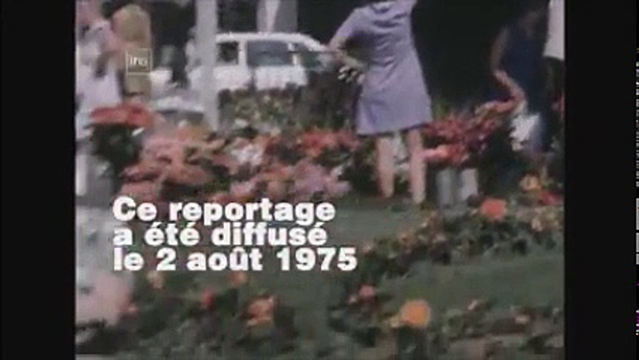 Reportage bière