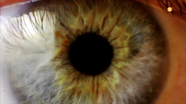 Promo 'Gran Hermano 17' (Telecinco) - Estreno jueves 8 22.00h