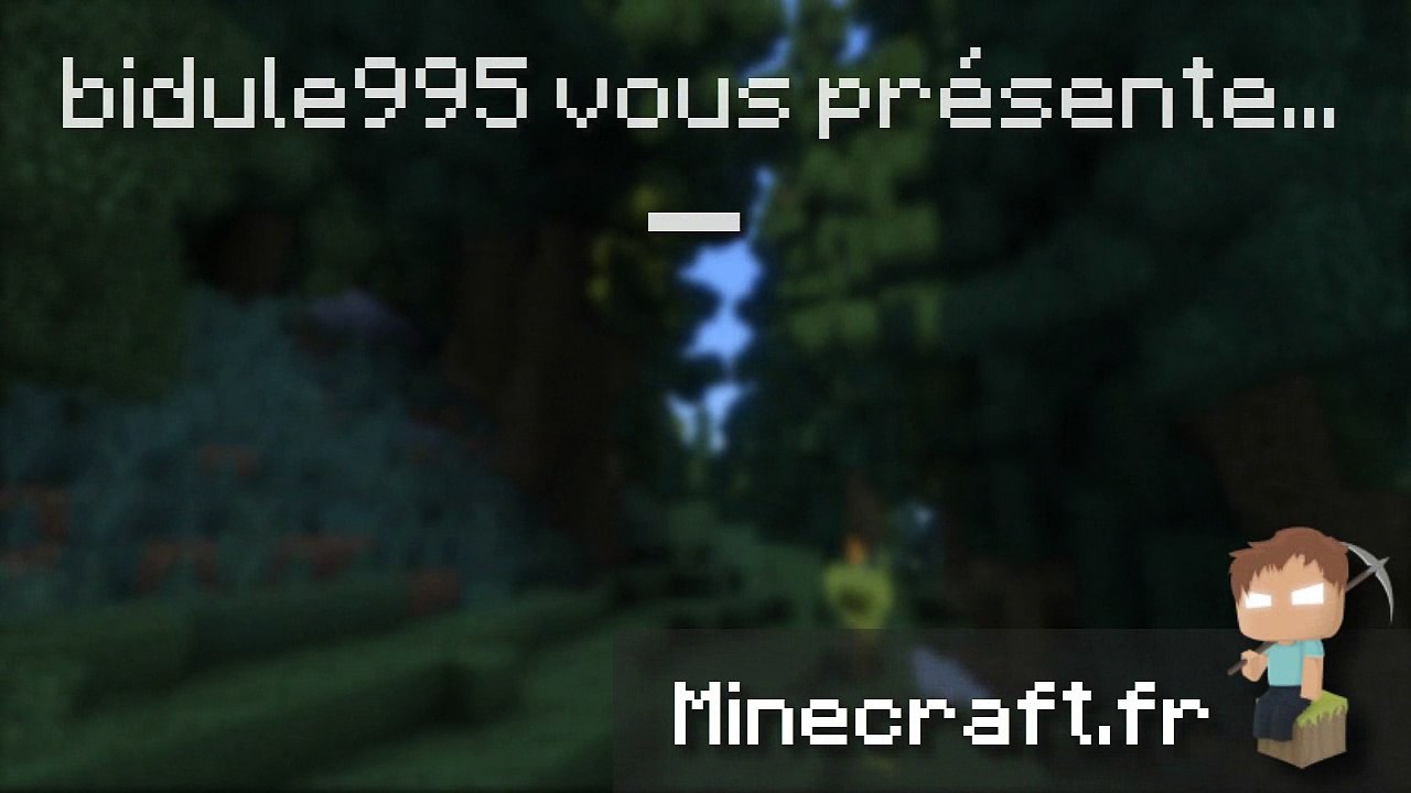 bidule995 vous présente ...