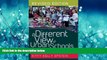 For you A Different View of Urban Schools: Civil Rights, Critical Race Theory, and Unexplored