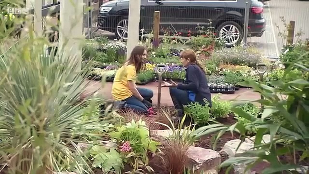 The Beechgrove Garden 2016 S38E15 HD