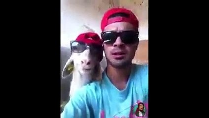 Birbirlerini Tamamlayan Sıkı Dostlar