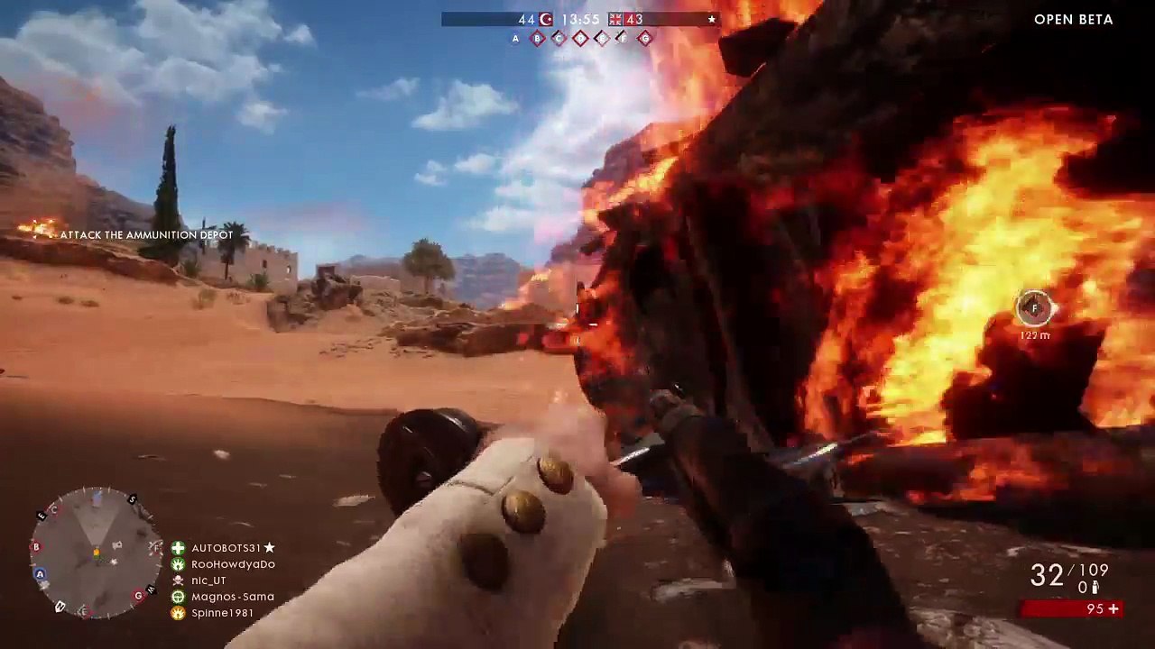 Spinne auf Beta german (13)