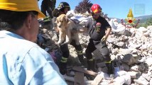 Ce chien a passé neuf jours sous les décombres après le séisme en Italie