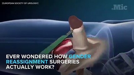 The boy girl brewing operation