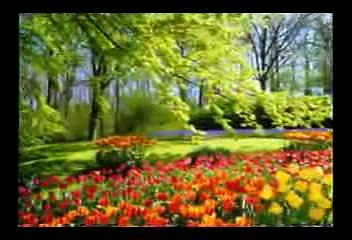 KINH PHẬT DẠY MƯỜI ĐIỀU LÀNH   (ĐĐ THÍCH GIÁC THIỆN BIÊN SOẠN)  .      (9)