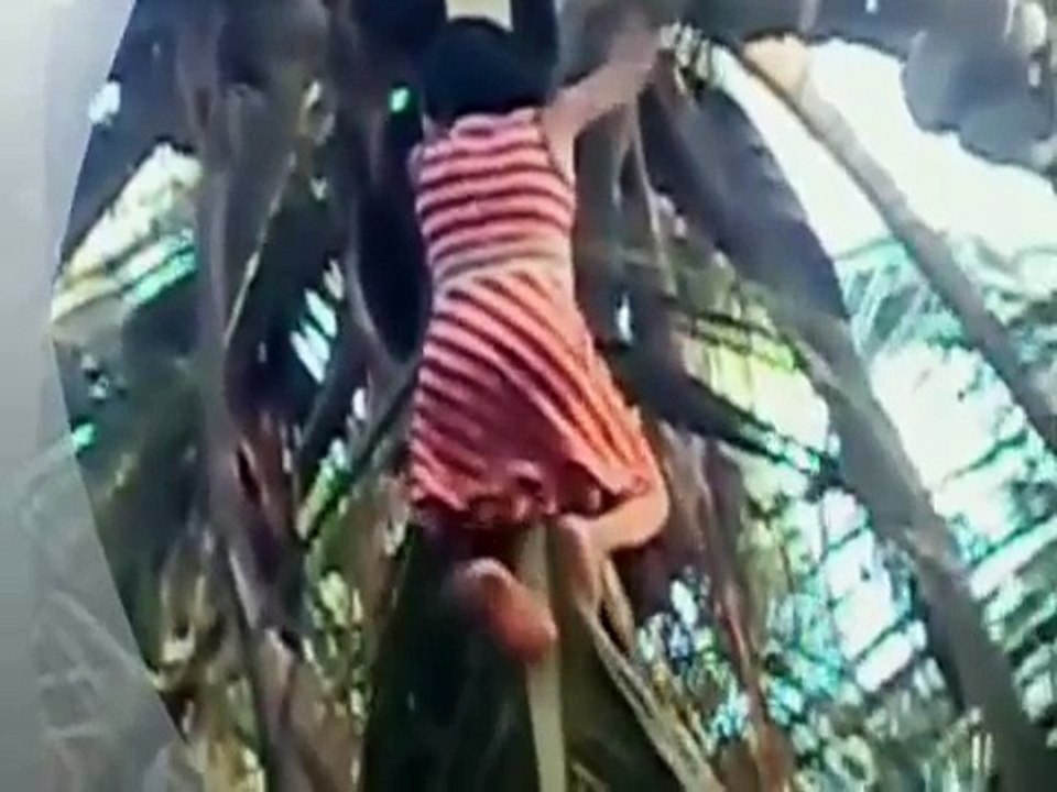 Funny Indian Hindi Videos Compilation