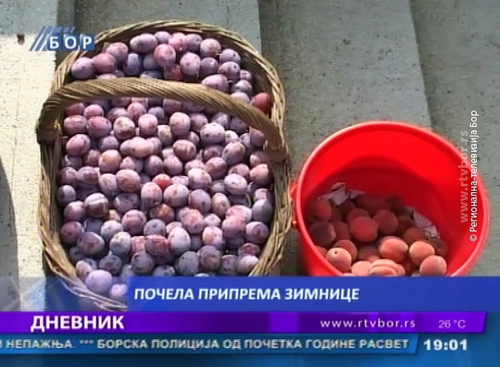 Dnevnik, 03 septembar 2016. (RTV Bor)