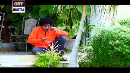 Watch Dilli Walay Dularay Babu Episode 02 on Ary Digital in High Quality 3rd September 2016