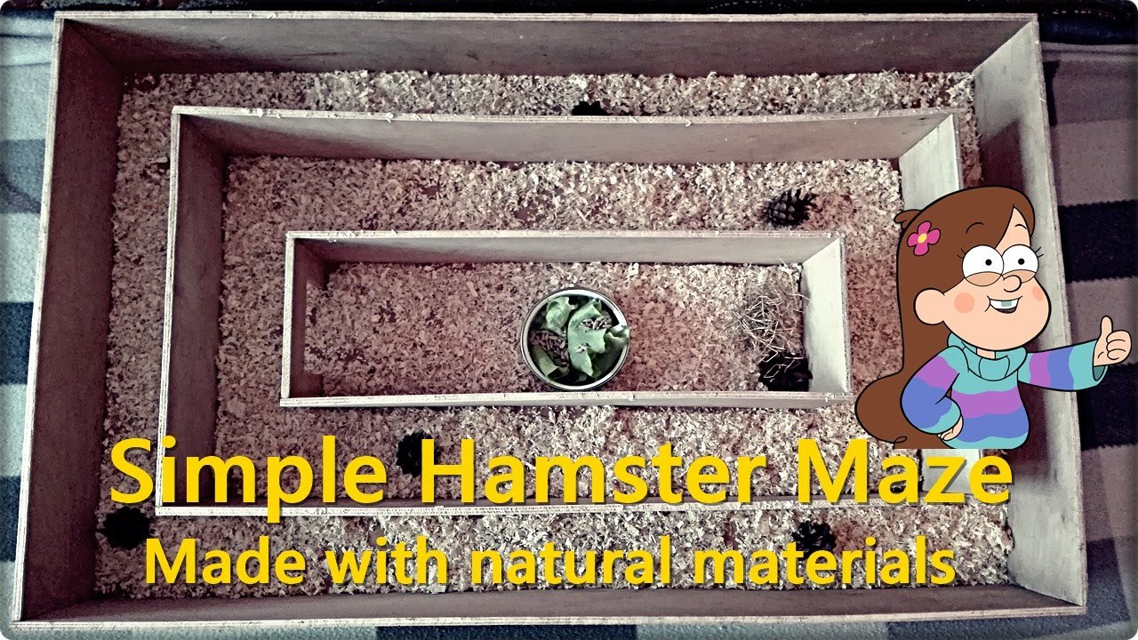 SIMPLE AMAZING HAMSTER MAZE!