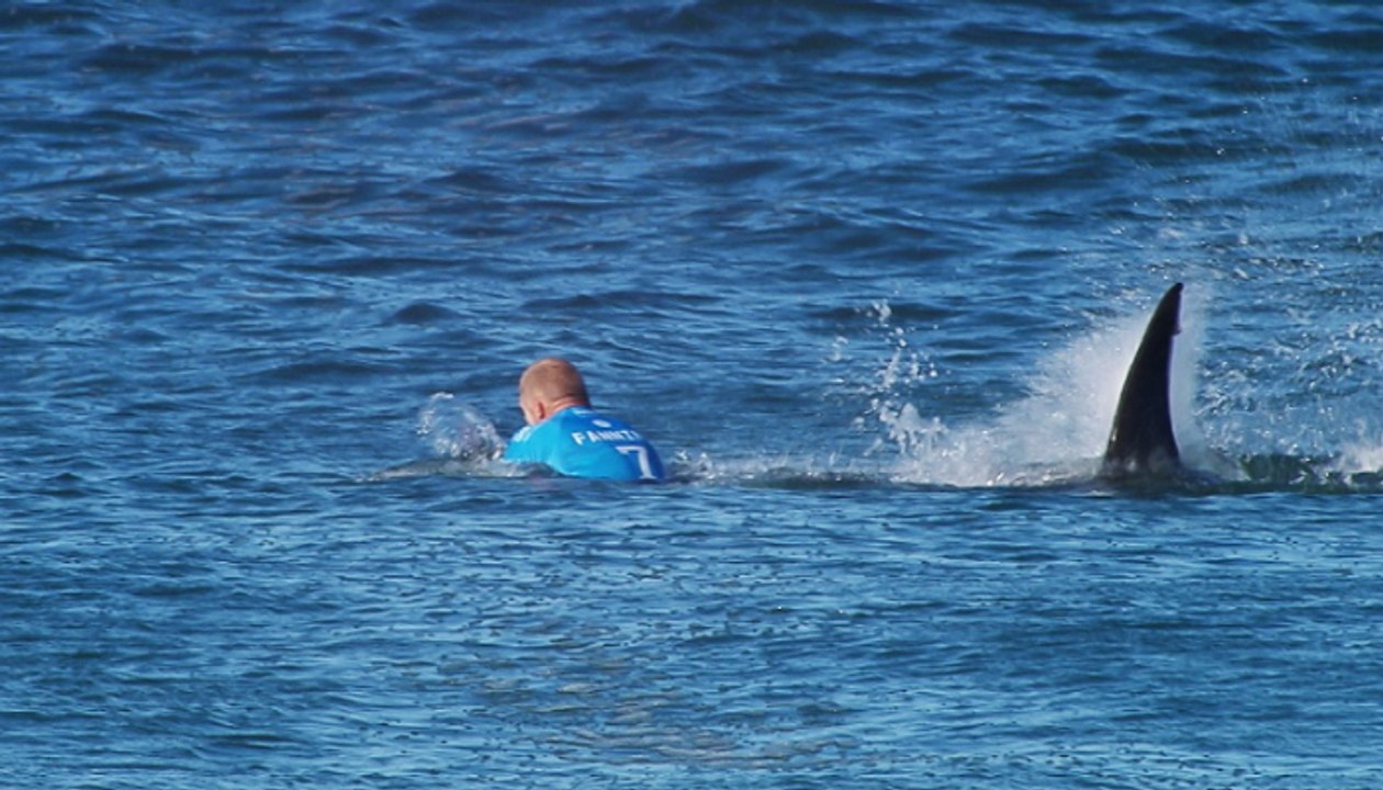 Shark Attack Captured On Live TV During Surfing Event In South Africa, Jaw dropping