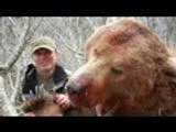 Biggest Animal in the world, Alaska - Brown Bear