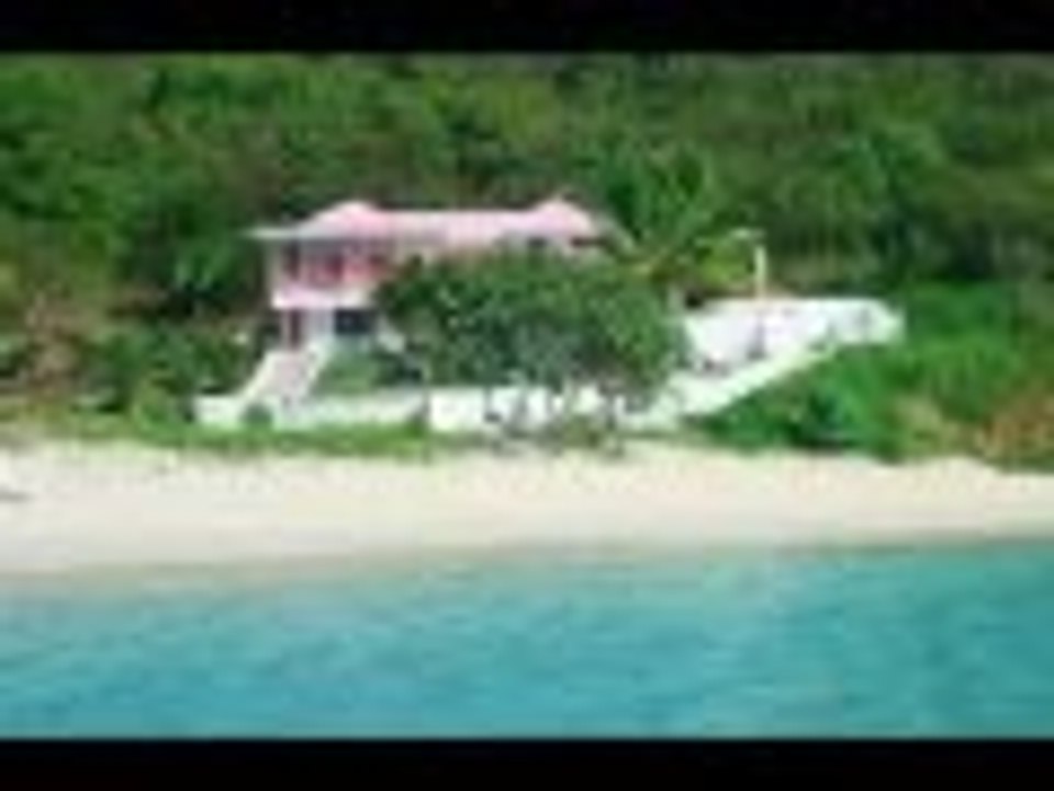 My dream video risposta