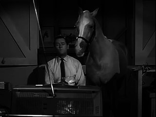 Mister Ed S6 | Coldfinger