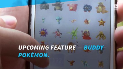 Pokémon GO announced a new upcoming feature: Buddy Pokémon