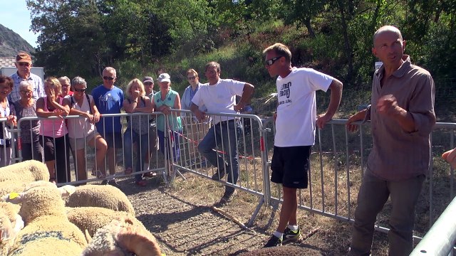 Hautes-Alpes : Le festival A Livres Perchés associe bergers et grands auteurs