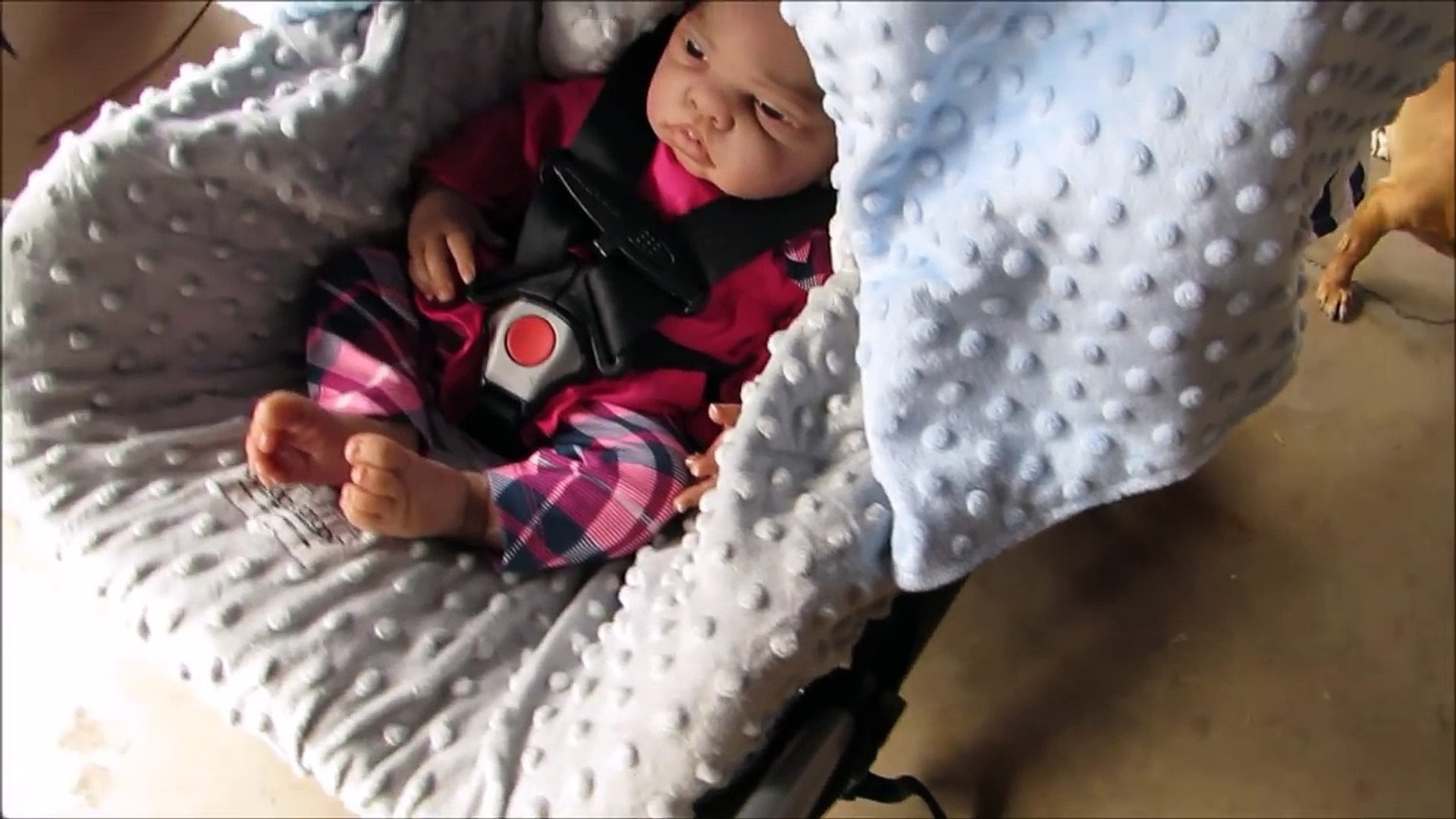 ⁣Reborn Baby Doll Travel System & Carseat Canopy Review! I All4Reborns.com