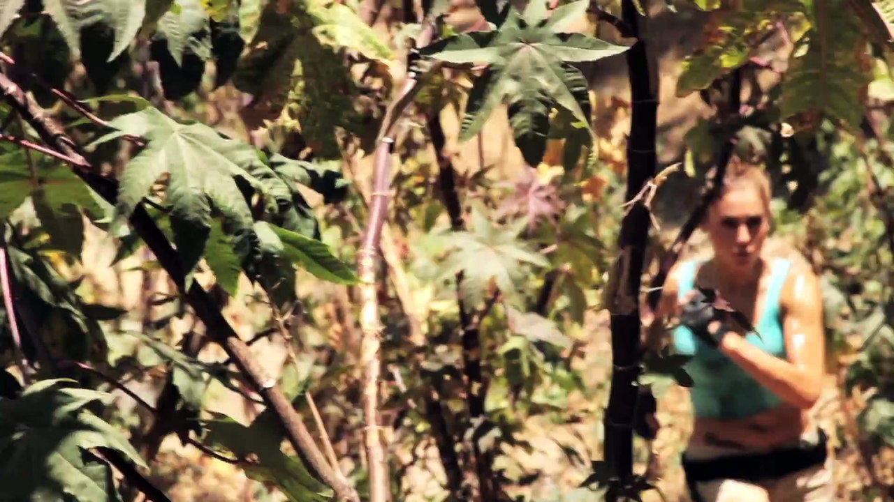 LARA CROFT (Tomb Raider) vs NATHAN DRAKE (Uncharted)