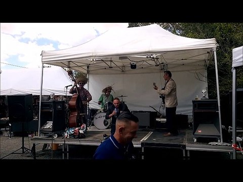 Ready to Rumble - 2016 - Wild Bongos part 2