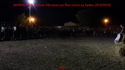 MONTAGNAC-Festival d'Encierro sur Plan-Leron-Le Seden-2016-09-02-HD