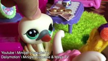 LPS: Küçük Prenses 3.Bölüm || Minişler Cupcake Tv
