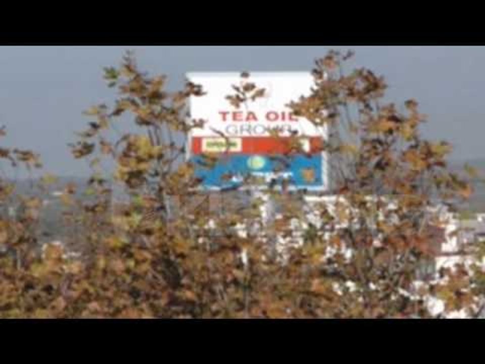 MBERRIN NE GJYKATE DOSJA E SKANDALIT TE TREGTIM...