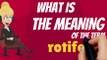 What is ROTIFER? What does ROTIFER mean? ROTIFER meaning, definition, explanation & pronunciation