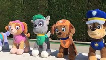 La Patrulla canina y Peppa pig salvan a una tortuga de piscina / Cap 12 Paw Patrol en español