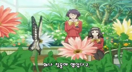 카시마시 13화