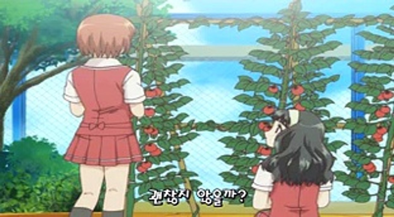 카시마시 6화