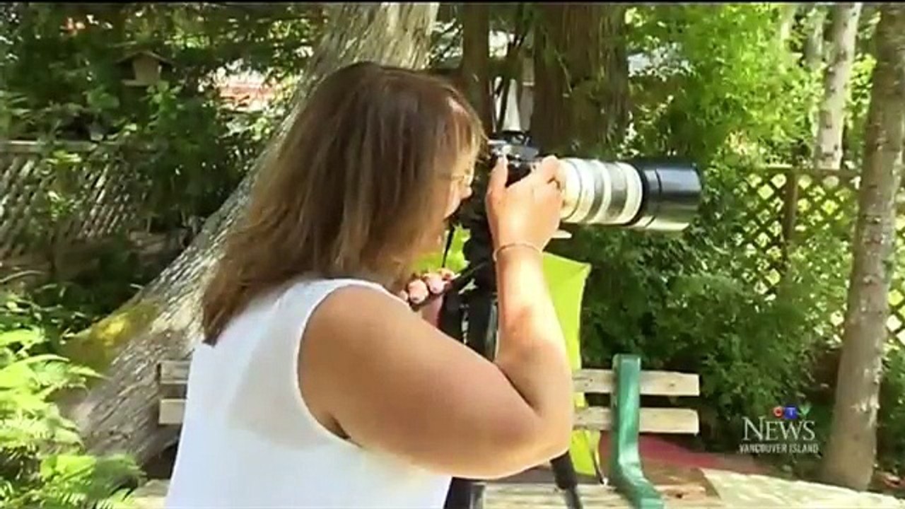 This is Real Proof We are in the End Times! (2016-2017)