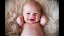 Best Funny Videos Baby Laughing Sound Effects So Funny 0193