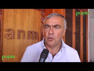 Napoli - Anm, l'amministratore Ramaglia fa il punto sullo stato dei trasporti (03.09.16)