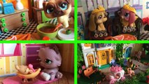 LPS Minişler: Küçük Prenses 1. Bölüm || Minişler Cupcake ve Maya TV
