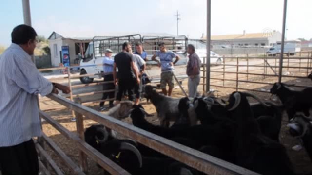 Kurban Pazarlarında Hareketlilik