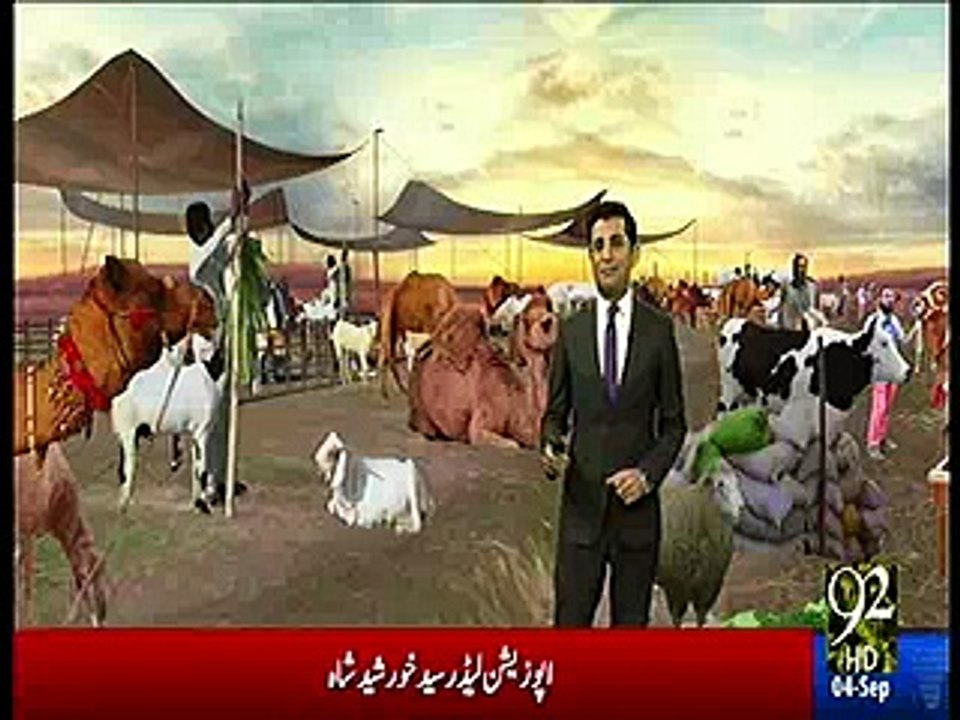 Bulls were lifted by Cranes in Karachi for Eid ul Azha preparations - Exclusive Visuals
