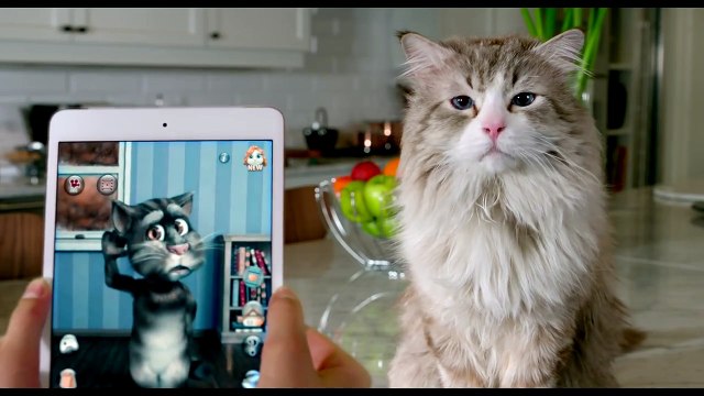 MA VIE DE CHAT - Superbe pirouette ! - Extrait VF (Kevin Spacey - 2016)